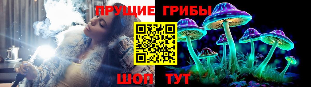 что такое наркотик  Псилоцибиновые грибы Magic Shrooms  Вход с VPN  Мегион  Псилоцибиновые грибы GOLDEN TEACHER 